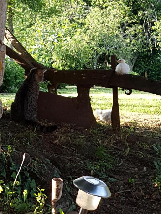 Les 3 Tilleuls Bellac Dış mekan fotoğraf